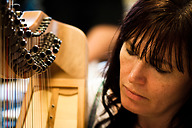 Harp Festival (48 of 54).jpg